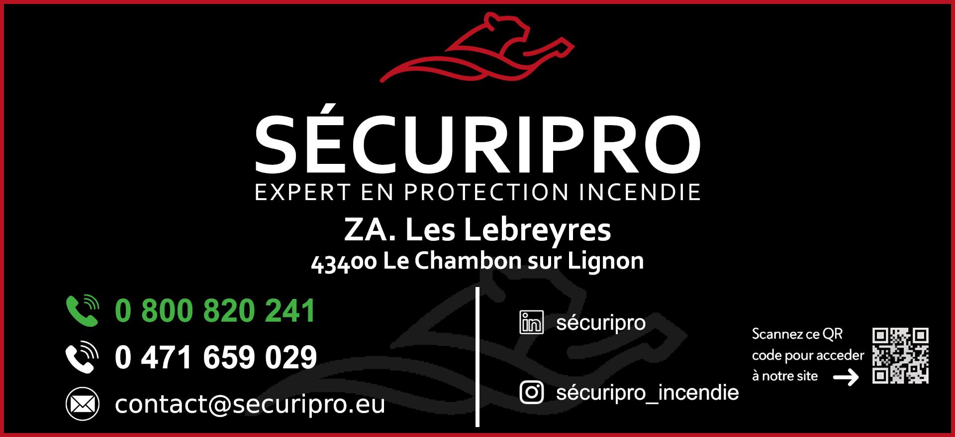 Securipro internet